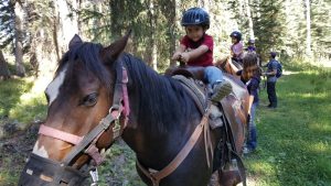 Less Stuff, More Horses