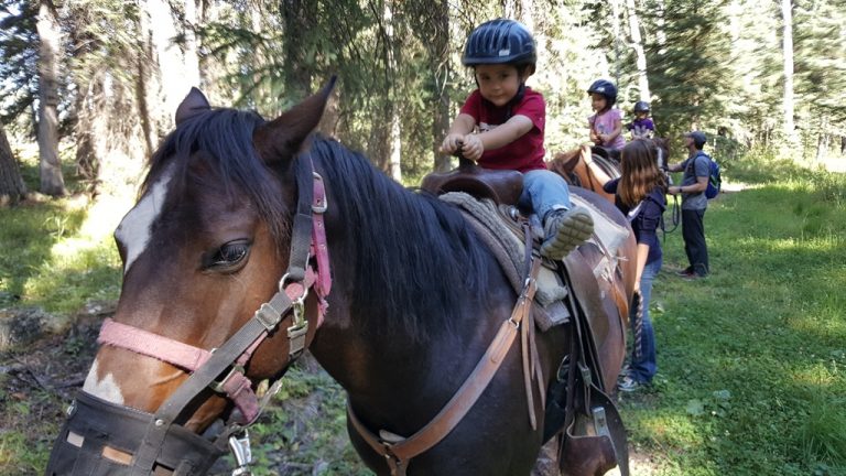 Less Stuff, More Horses