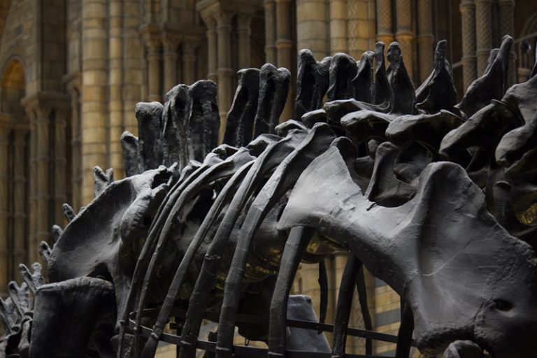 The Creation Museum - a great place to explore